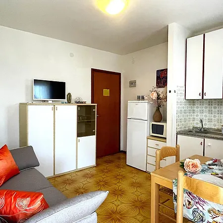 Splendid 비비오네