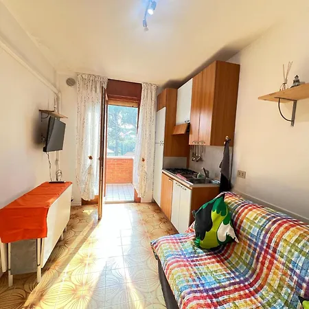 Splendid 비비오네