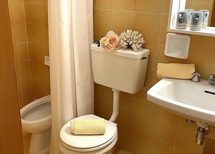 شقة Splendid بيبيوني